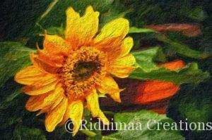oil painting classes in bangalore